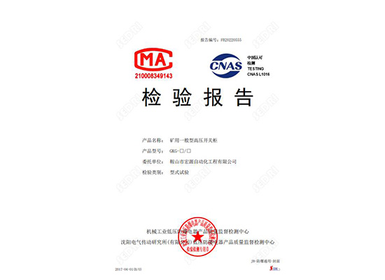 檢驗(yàn)報告